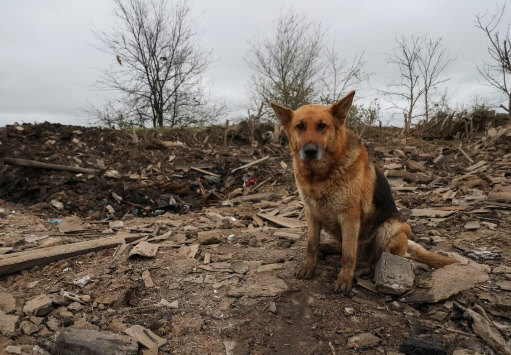 Pavlohrad se nachází zruba 110 kilometrů od frontové linie