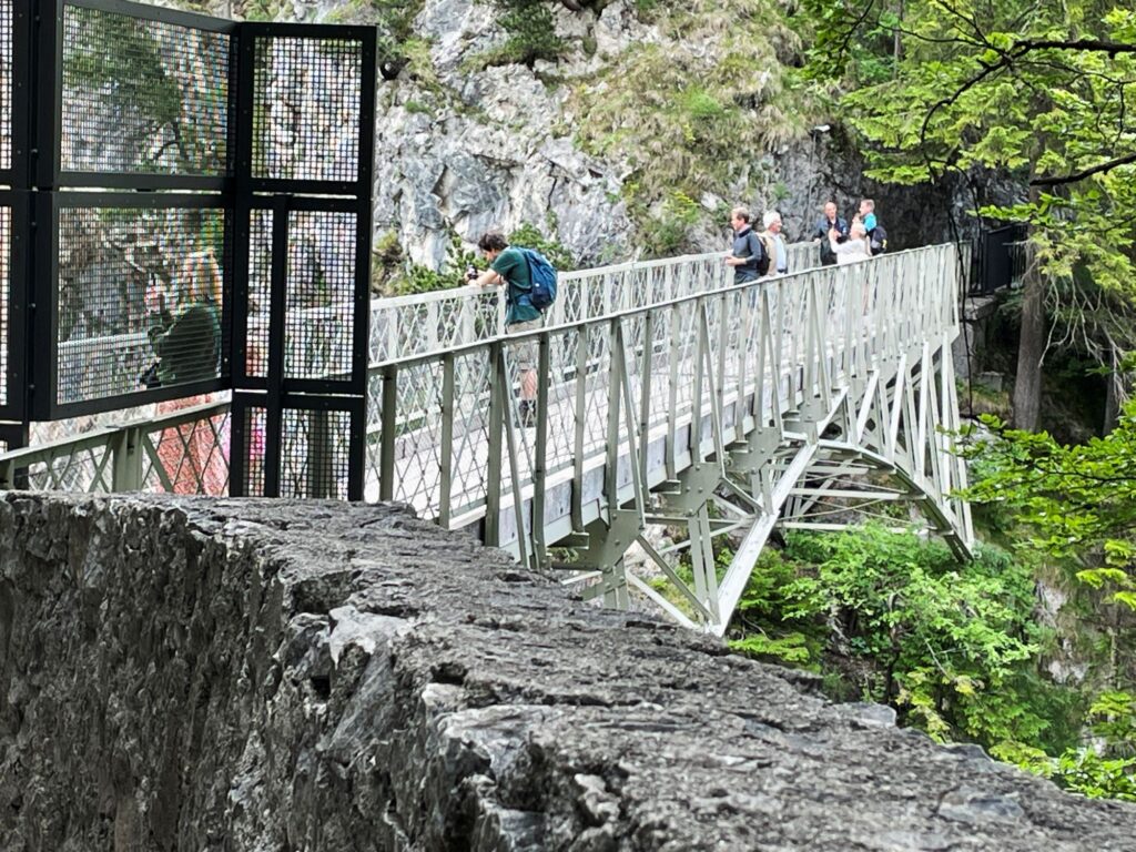 Američanku, co přežila pád do rokle, propustili z nemocnice